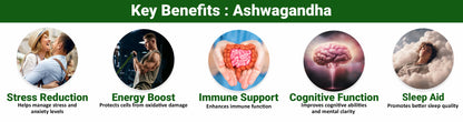 Ashwagandha Tablets, 1000 mg, General Wellness, Natural Immunity Booster