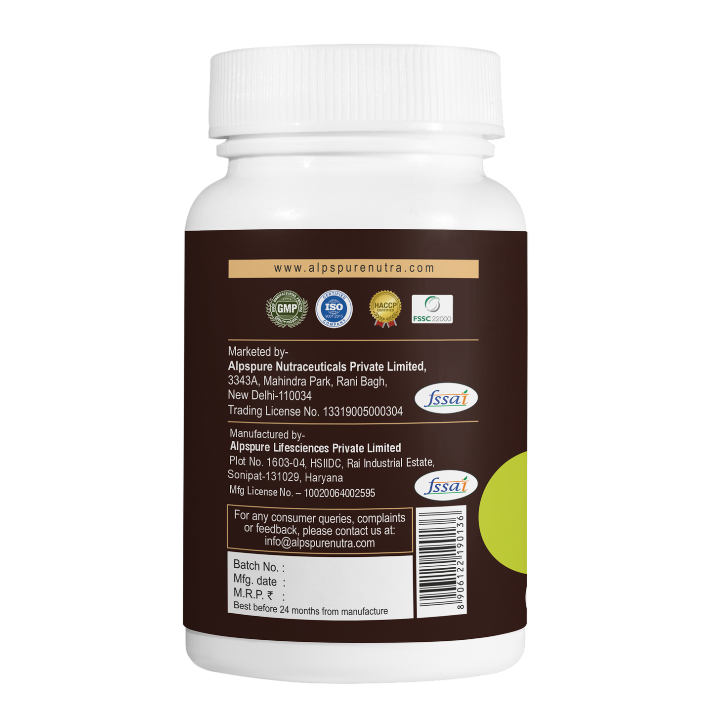 Panax Ginseng